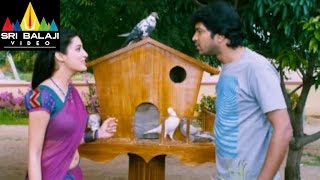 Yamudiki Mogudu Movie Naresh Richa Panai Comedy Scene  Naresh Richa Panai  Sri Balaji Video [upl. by Nnyledam253]