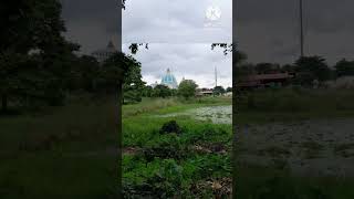 World begets temple 🛕  mayapur iscon  ❤️ 😍 [upl. by Bopp781]