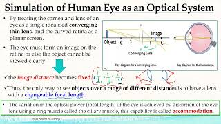 Emmetropia Vs Vision Defects  الفيزياء الحيوية [upl. by Henleigh]