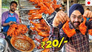 20 Rs only Cheapest and Delicious Trying Delhis NonVeg Street Food [upl. by Laehpar]