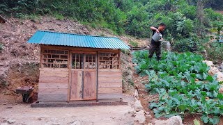 Build a Log Cabin and garden in the forest Grow vegetables potatoes  Store food for winter [upl. by Rehtae]