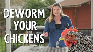 How to Deworm Chickens Parasite Management in Your Flock [upl. by Nalahs]