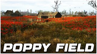 Stalker 2 How to Get the Legendary Artifact in the Poppy Field Weird Flower [upl. by Wartow]