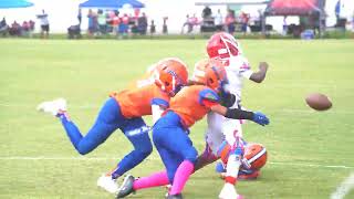 Naples Gators 8U Vs Fort Myers Firecats 8U [upl. by Ecyaj648]