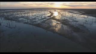 Lake Mulwala Drained in 2018 [upl. by Etselec]