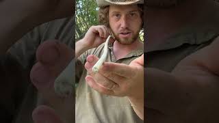 Skipping Arrow for Duck Hunting survival archery outdoors camping nature bushcraft primitive [upl. by Wit]