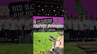 Die Hamburger Goldkehlchen  Happy Ending  072024 in Stadtpark Open Air Hamburg 🎤 shorts [upl. by Zingale]