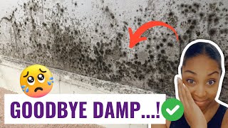 REMOVE DAMP and MOISTURE in your home 5 simple tips [upl. by Evelunn]