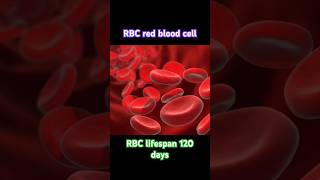 RBCWBC platelet shorts youtubeshorts shortfeed short viralshorts [upl. by Rothberg]