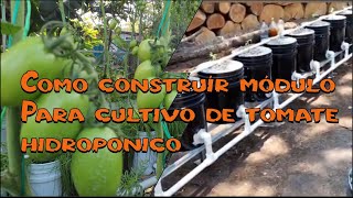 Como construir sistema hidroponico con cubetas para tomate y pimiento [upl. by Margetts]