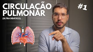 1 CIRCULAÇÃO PULMONAR ULTRA DIDÁTICO [upl. by Namrak]