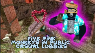 Finding 5 pink monkeys My official yt acc 🥳 [upl. by Omari]