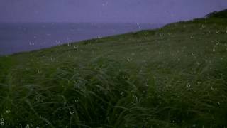 Rain amp Wind Sounds for Sleep amp Relaxation w Distant Thunder amp Ocean Waves  Relaxing White Noise [upl. by Eugine]