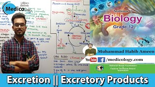 Excretion Homeostasis  Excretory Product  Federal Board Biology XII [upl. by Charmine]