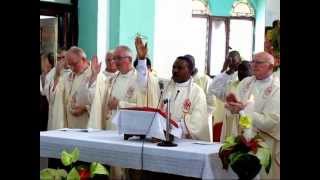 Final Vows of young Spiritans in Bagamoyo [upl. by Fital]