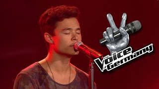 Der Weg  Johannes Holzinger  The Voice  Blind Audition 2014 [upl. by Elleirbag]