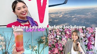 VIRGIN AUSTRALIA CABIN CREW VLOG PART 2 シドニー＆メルボルン線にはお客さんがいなかった！ [upl. by Beth]