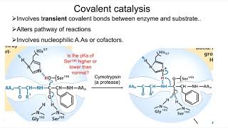 Strategies of enzyme catalysis [upl. by Nosreffej454]