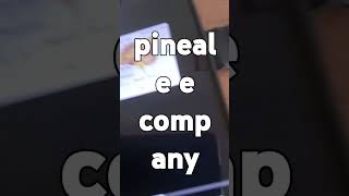 pineale e c [upl. by Edlitam]