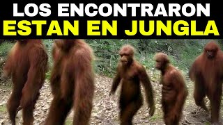 Una Especie Humana Recién Descubierta Plantea Grandes Dudas Sobre el Origen de los Humanos [upl. by Gracie]