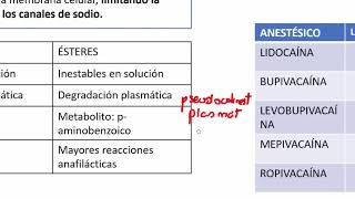 5 ANESTESICOS LOCALES [upl. by Hailat368]