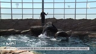 LE FEUILLETON  Laquarium de BoulognesurMer est le plus grand de France [upl. by Allegra]