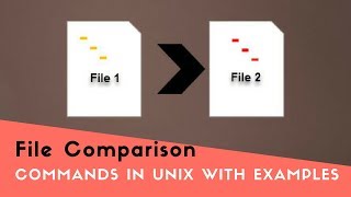 File Comparison Commands in Unix with Examples Tutorial 3 Part C [upl. by Sand]