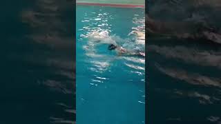 50m freestyle swimming🏊 swimming best trending viralvideo freestyle youtubeshorts creator [upl. by Florry257]