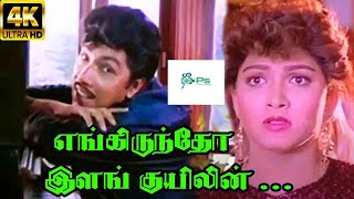 Engiruntho Ilam Kuyilin எங்கிருந்தோ இளம் குயிலின்  SPB Love Tamil H D Song [upl. by Mina791]