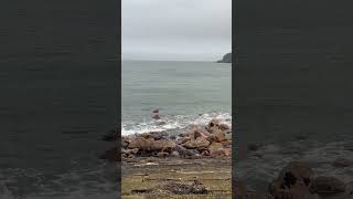 Amazing and memorising view of Howth Harbour Dublin Ireland mrbeast viralvideo [upl. by Eiznekam637]