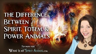 Spirit Animals Explained  The Difference Between Spirit Totem amp Power Animals [upl. by Bartosch987]