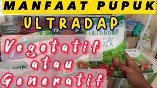 MANFAAT PUPUK ULTRADAP  FASE VEGETATIF ATAU FASE GENERATIF ❓❓❓pupuk sahabattani padi cabai [upl. by Elodea811]