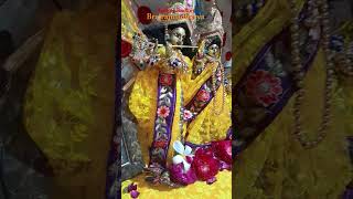 Vrindavan ke banke bihari shortsfeed tranding viralvideo viralshorts [upl. by Ettelohcin]