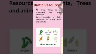 Biotic and Abiotic Resources [upl. by Paulita]