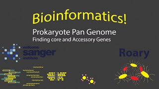 Bioinformatics  Prokaryote Pan Genome with Roary Timestamps [upl. by Aizirk]