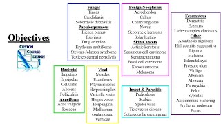 Dermatology Review PODs Part 1 PA NP Didactic PANCE PANRE [upl. by Orag]