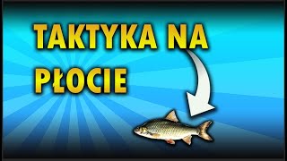 Taktyka Na Płocie  Nieznana Woda [upl. by Rosa963]