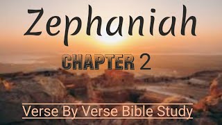 Zephaniah Chapter 2  Verse By Verse biblestudy [upl. by Evante886]