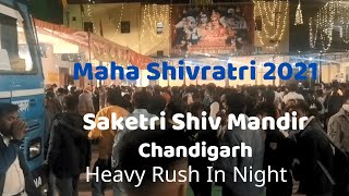 Maha Shivratri 2021  Saketri Shiv Mandir Chandigarh  In Night  Heavy Rush [upl. by Atinas201]