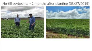 Troy Beldini Cultivation of soy beans corn and cover crops in Brazilian Amazonia [upl. by Ydroj]