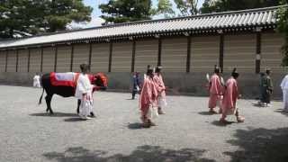 Aoi Matsuri 2013 at the Imperial Palace Kyoto Japan 【HD】 [upl. by Nlocnil]