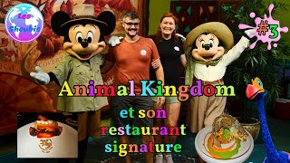 ANIMAL KINGDOM ET SON RESTAURANT SIGNATURE 3 [upl. by Elrak]