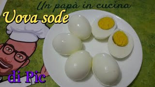 Uova sode di Pic ricette con Bimby Tm6 Tm5 Tm31 Tm21 Thermomix [upl. by Ruscio35]