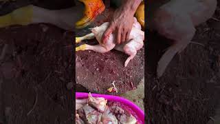 Amazing skill potong daging ayam cuttingskills chicken ayamsegar short shorts [upl. by Camus]