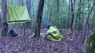 Building a tree house in heavy rain surviving in nature [upl. by Alul]