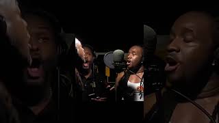 TOK  Chi Chi Man  RMR Record Jamaica 🇯🇲reggaemusic onelove viralvideos [upl. by Georgianna]