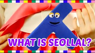 WHAT IS SEOLLAL  설날  KOREAN LUNAR NEW YEAR LEARN ABOUT KOREAN CULTURE HOLIDAY CUSTOMS amp FOOD [upl. by Anali]