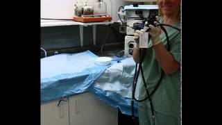 Flexible Endoscope Reprocessing  Precleaning [upl. by Nyleek]