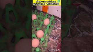 IncubatorReelsManufacturingTrending Agriculture Vivasayam tamilreelstrending [upl. by Kronfeld782]