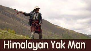 Himalayan Yak Man His Daily Life Finding Most Expensive Mushroom in the World Full Documentary [upl. by Westlund312]